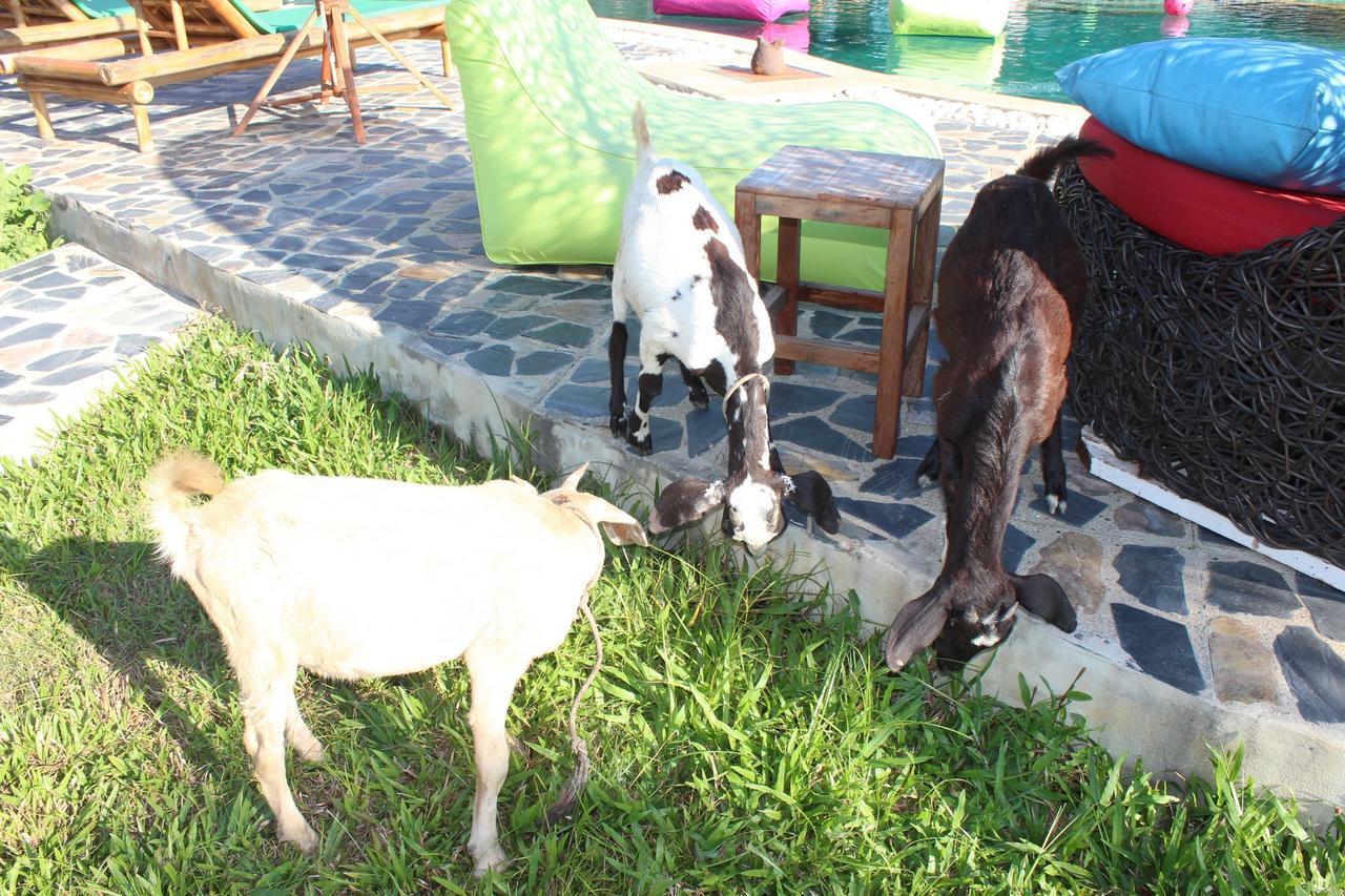 Kalaka Homestay Ban Ban San Sai Εξωτερικό φωτογραφία